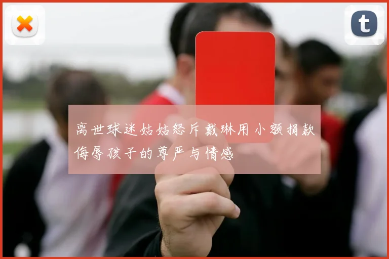离世球迷姑姑怒斥戴琳用小额捐款侮辱孩子的尊严与情感